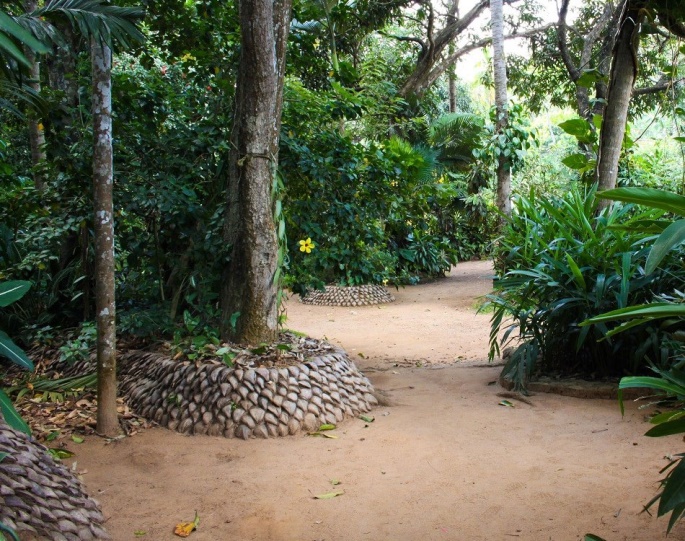 Grand Sri Lanka Tour
